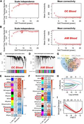 Identification of prognostic and diagnostic signatures for cancer and acute myocardial infarction: multi-omics approaches for deciphering heterogeneity to enhance patient management